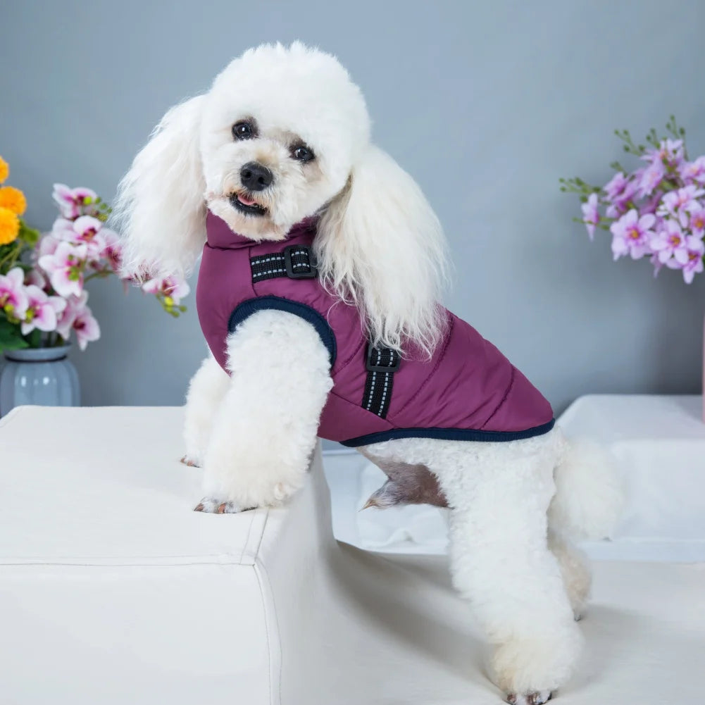 Veste d'hiver Novaelia™  imperméable avec harnais intégré pour chien