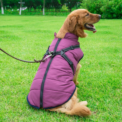 Veste d'hiver Novaelia™  imperméable avec harnais intégré pour chien